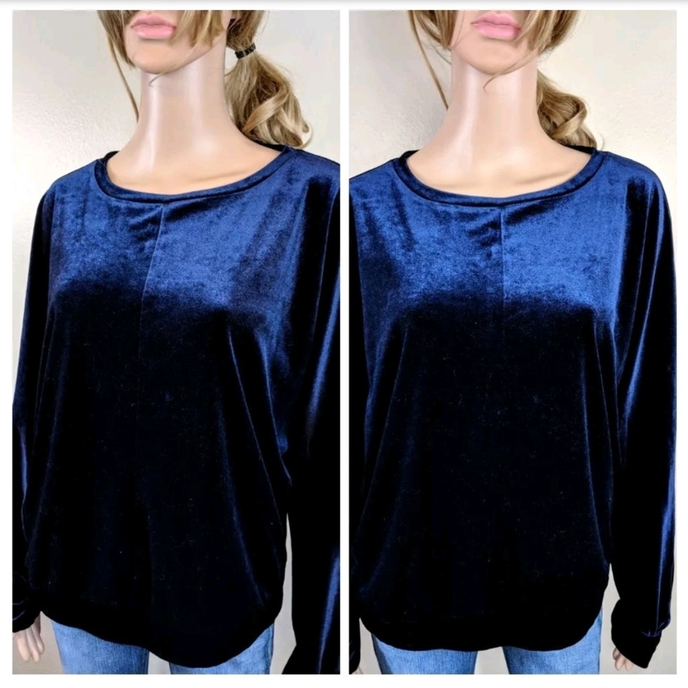Anthropologie Cupio Velvet Pullover Sweatshirt Top